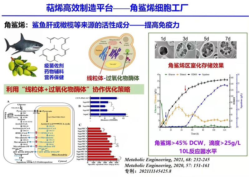 突破绿色化工瓶颈 《代谢工程》报道我校萜烯高产细胞工厂开发的最新进展与生物防治技术服务前景