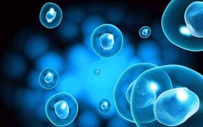 抗癌药价最高降51% 价格高局面有望缓解 生物防治技术开辟新径