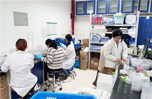以虫治虫 南开创业团队研发生物防治技术，助力乡村振兴